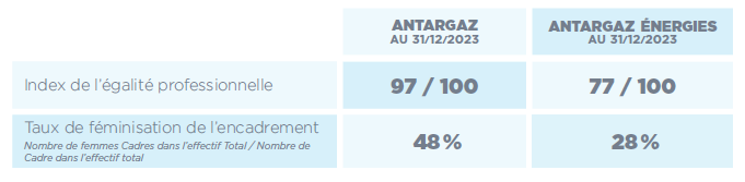 index de l'égalité professionnelle